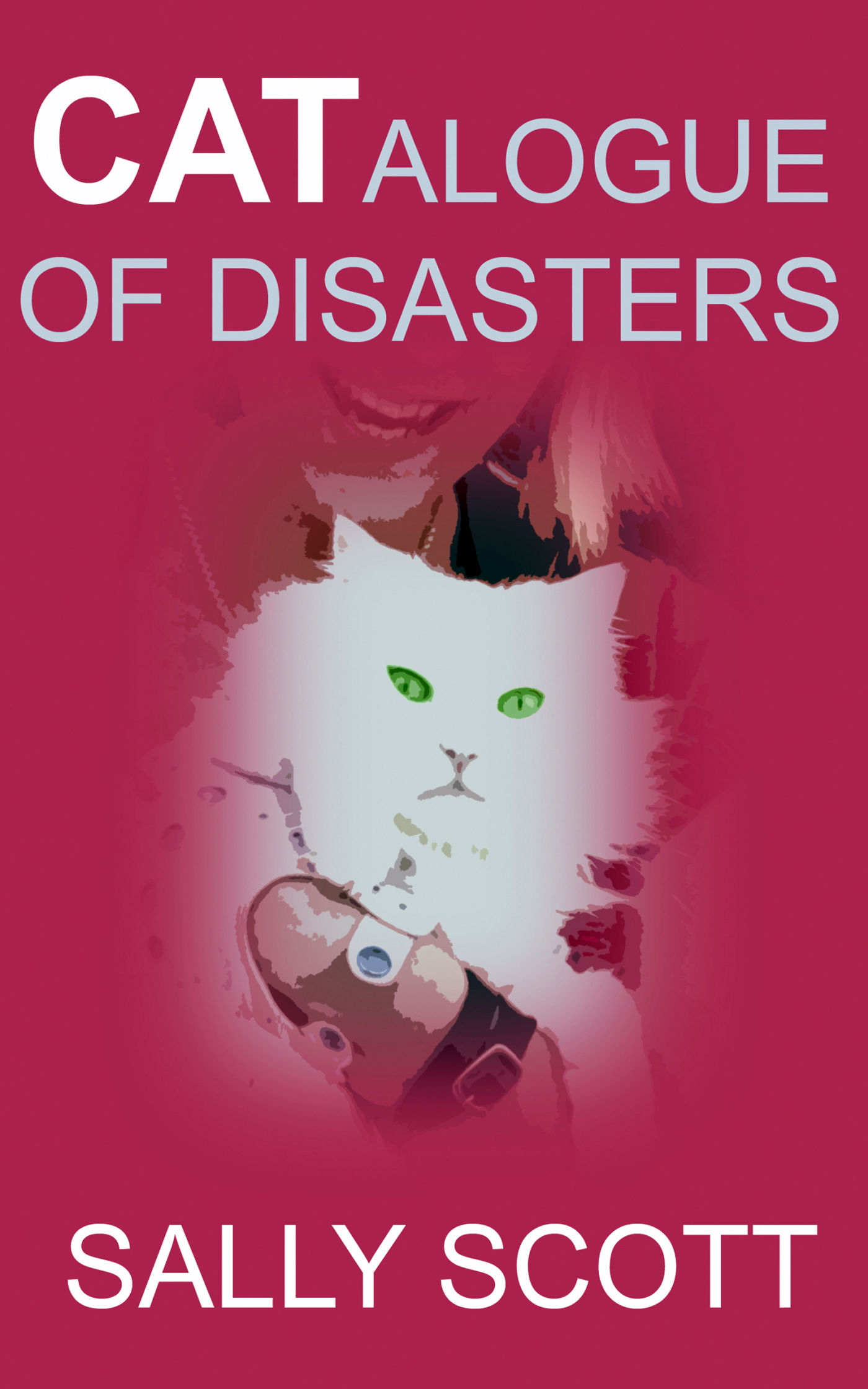 Image of Catalogue of Disasters cover